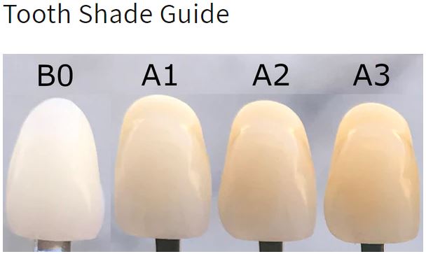 Tooth shade guide with four different shades labeled B0, A1, A2, and A3.